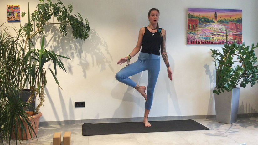 Hatha yoga 1 (23 min)